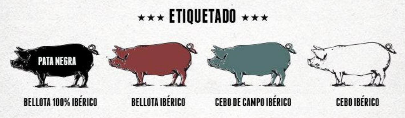 Etiquetas cerdo iberico