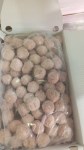 Albondigas-mixtas