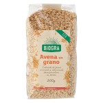 Avena-grano