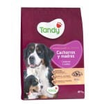 Comida-perros-cachorros-madres.jpg