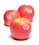 Manzana-Pink