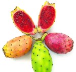 higo-chumbo