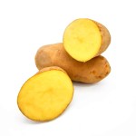 patata-agria-amarilla