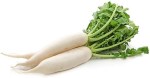 rabanos-daikon